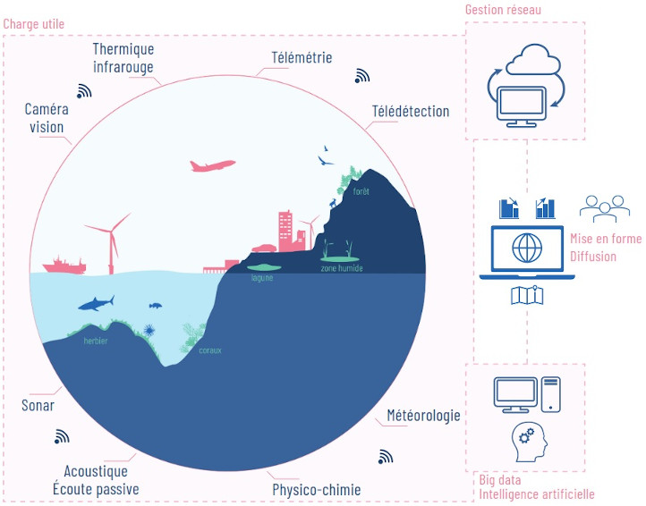 Plateforme pisigma et Ecosystèmes
